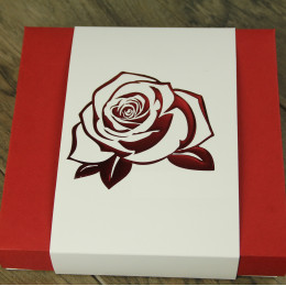 Шубер (чехол) 16 белый с рельефным тиснением 