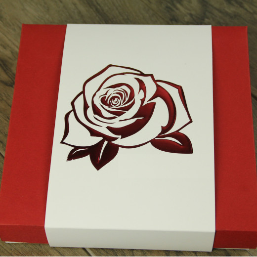 Шубер (чехол) 16 белый с рельефным тиснением 