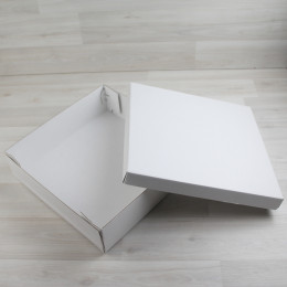 Коробка Бестла 6 двухсторонний белый МГК (300х300х80мм)