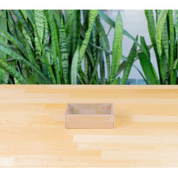 Коробка Бестла 1 (174х85х60) МГК без разделителей