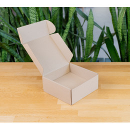 Коробка Титан 1 МГК (205х205х90мм)