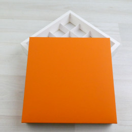 Коробка Паллена 16 оранжевый латекс