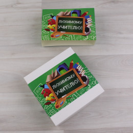 Шубер (чехол) 9 