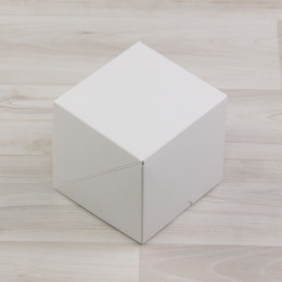 Коробка Тесла 2 (100х100х100мм) белый