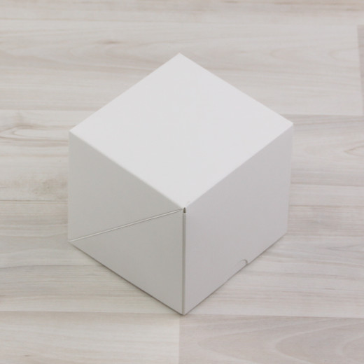 Коробка Тесла 2 (100х100х100мм) белый