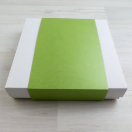 Шубер (чехол) 16 мятный